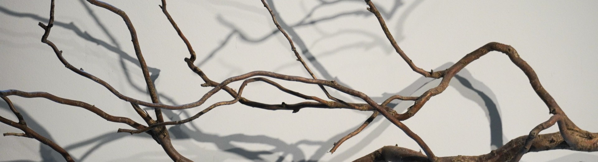 alt-tag